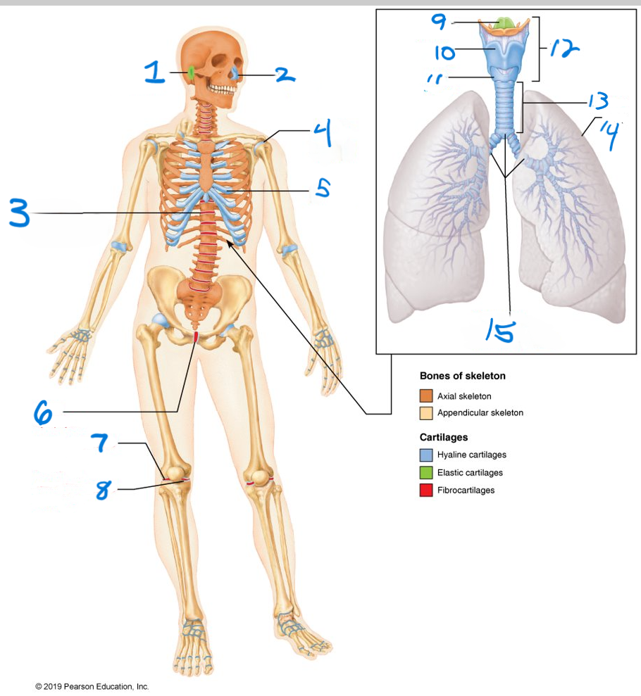 <p>What is 3</p>