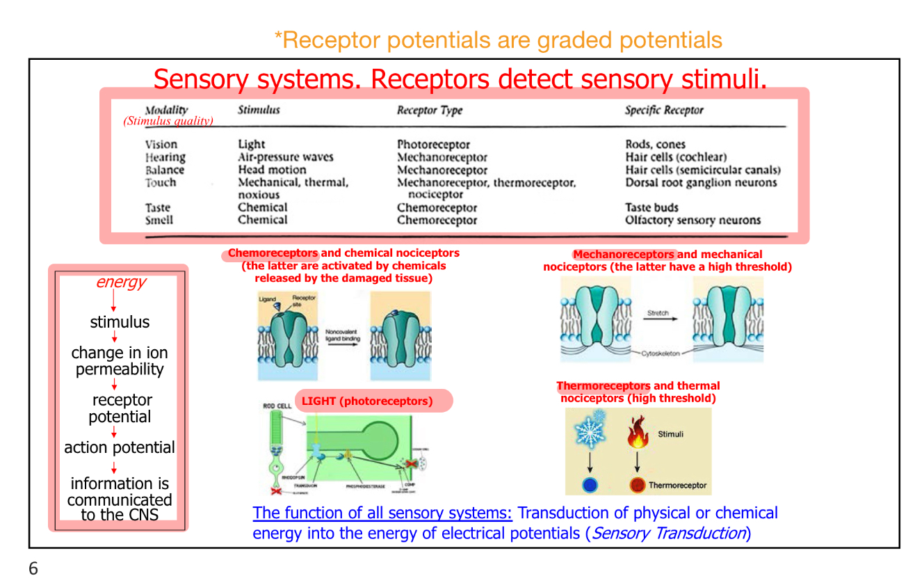 <p>NP4 ppt, slide 6</p>