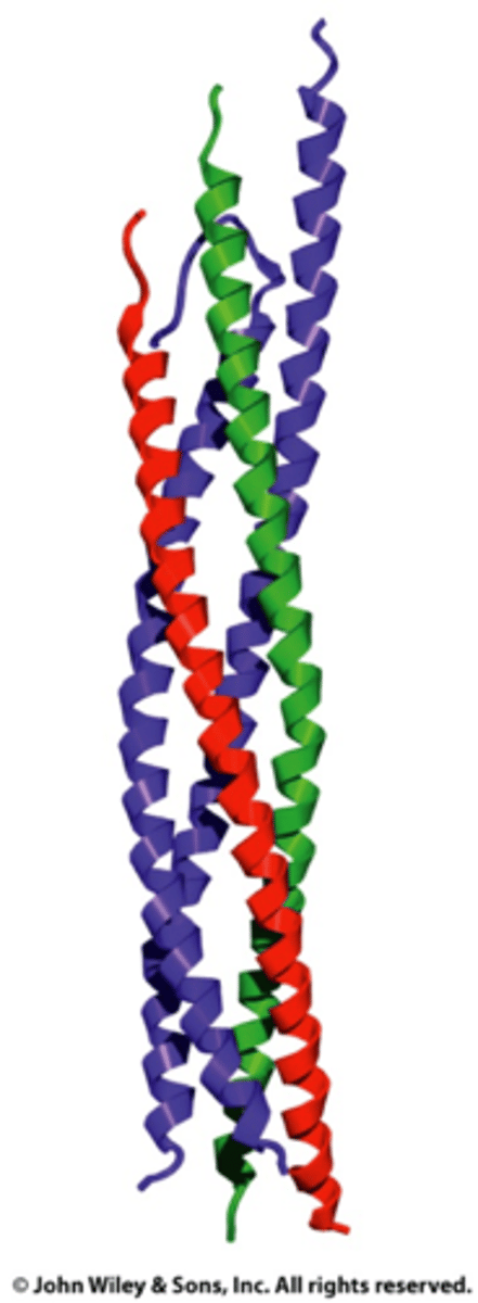 <p>A motif with mutiple alpha helices pressed together</p>