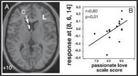 <p>Describe figure 3</p>