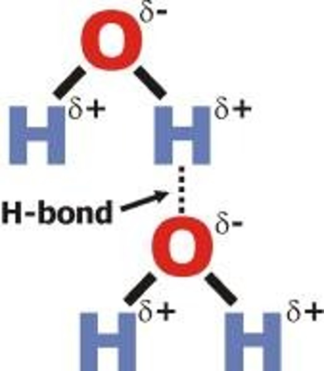 <p>WEAKEST type of bond formed with hydrogen atoms that can be broken easily</p>