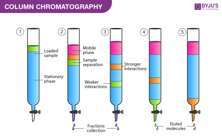 <ul><li><p>The stationary phase and mixture of compounds are added to the column</p></li><li><p>The mobile phase is then added on top</p></li><li><p>As the mobile phase moves down, components in the mixture that are more soluble in the mobile phase/less absorbed to the stationary phase will move down the column further and faster than components less soluble/more adsorbed</p></li><li><p>We can then collect the samples from the column separately</p></li></ul><p></p>
