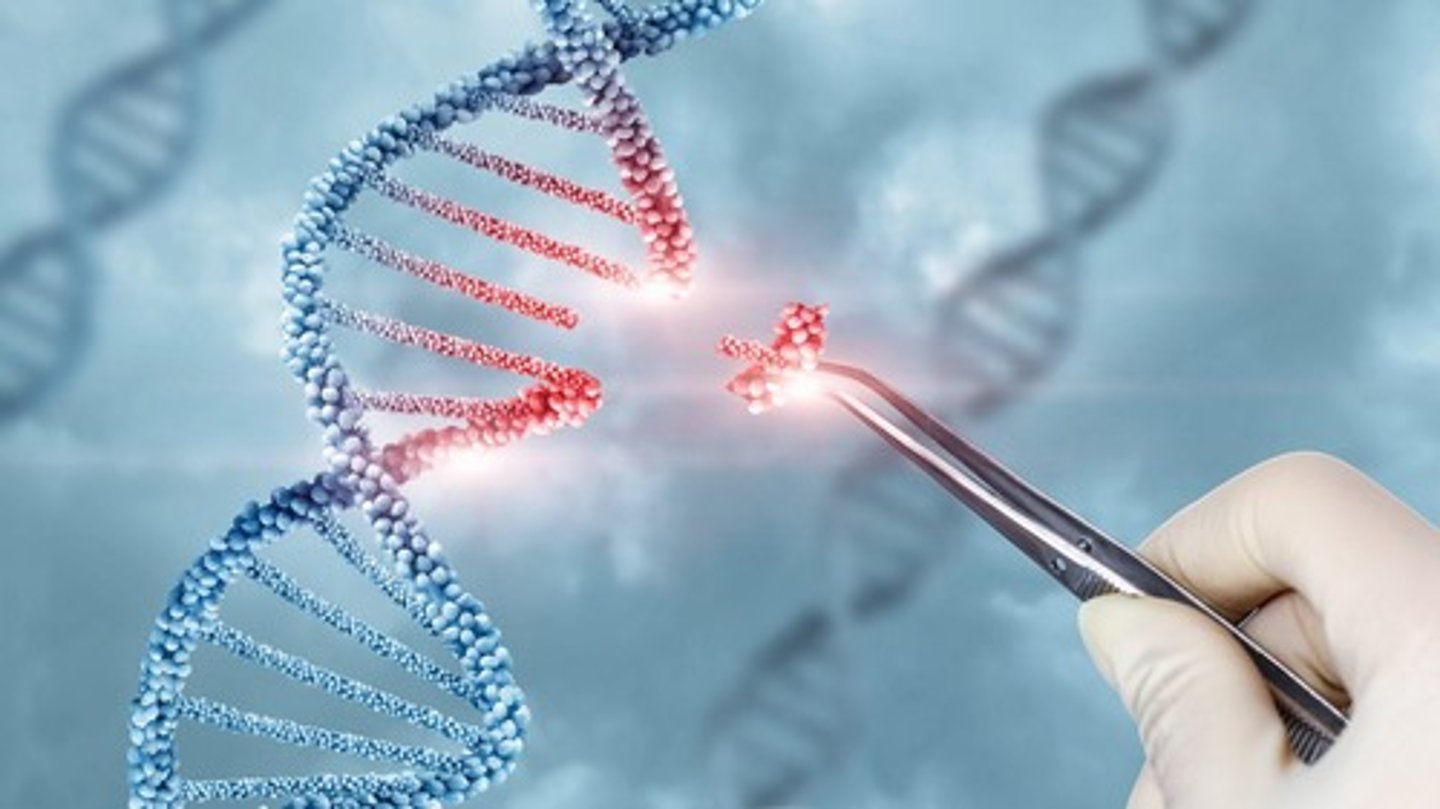 <p>Modification of organisms' genetic material for desired traits.</p>