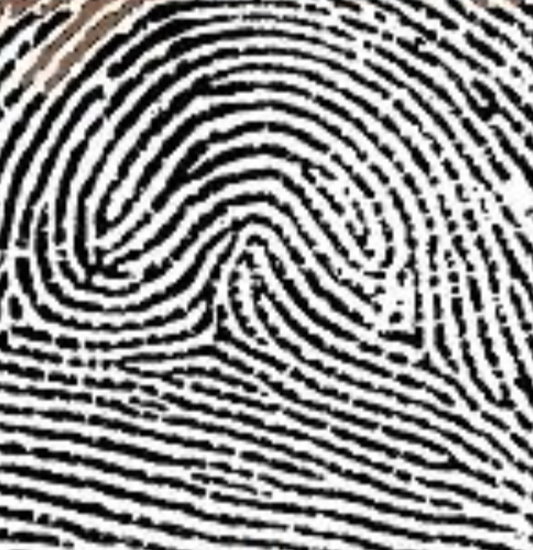 <p>type of print and characteristics</p>