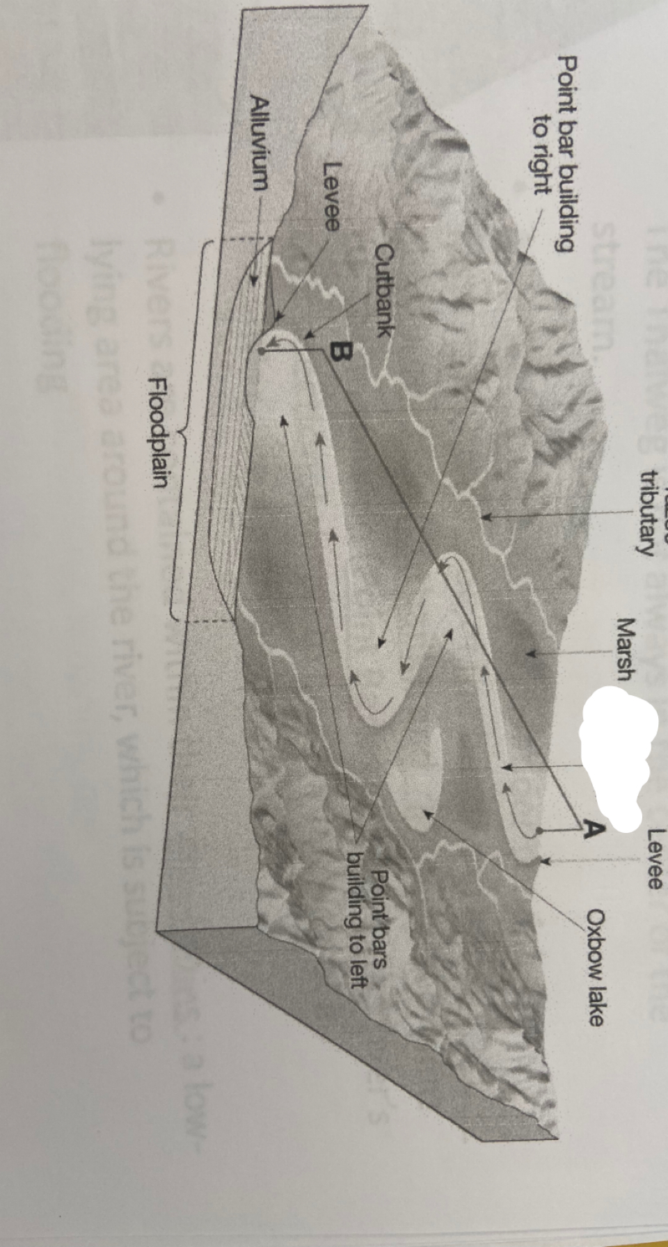 generally have a single, deep, sinuous channel with occasional sand bars; lower gradient than braided channels; the stream channel migrates back and forth over the floodplain over time due to continual erosion of the cutbank and deposition on the point bar