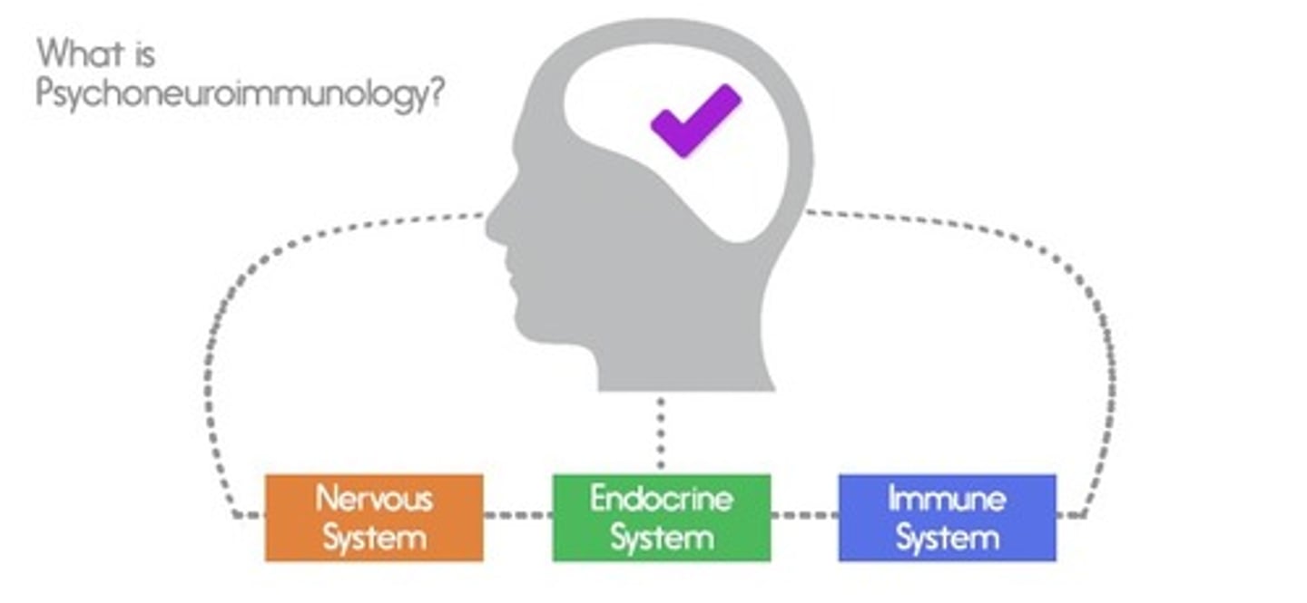 <p>The study of how psychological, neural, and endocrine processes together affect the immune system and resulting health. CNS and Behavior. Stressful exams reduce the immune system.</p>