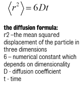 Einstein equation