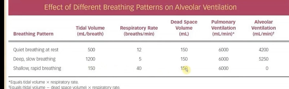 <p>You really only end up inhaling air to fill the dead space (conducting space), so no air is actually reaching your alveoli. your AV is zero, but PV would be higher.&nbsp;</p>