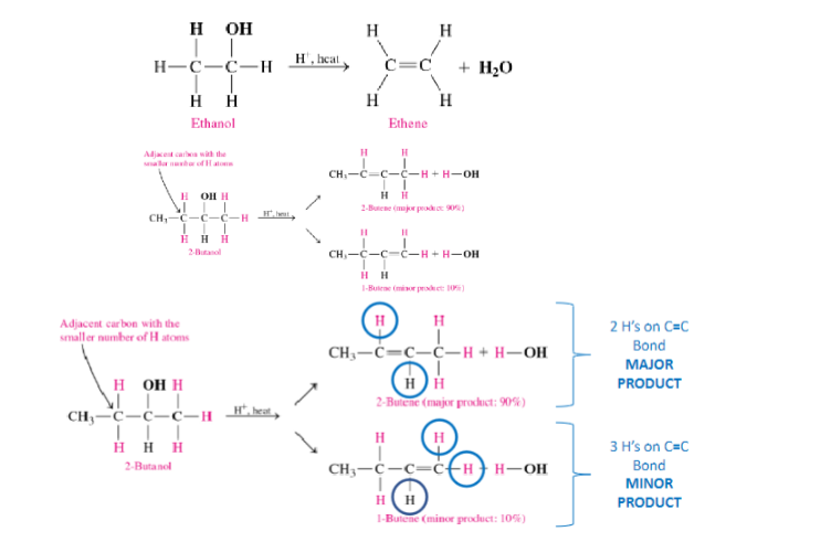 <ul><li><p>requires a catalyst- H+ and heat</p></li><li><p>elimination of H and OH from adjacent carbon atoms</p></li><li><p>primary form an alkene and water</p></li><li><p>secondary form two possible alkenes, take hydrogen from carbon with less (major product has fewer hydrogen atoms on double bond)</p></li></ul>