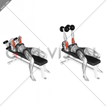 <ul><li><p>Triceps Brachii</p></li></ul><p></p>