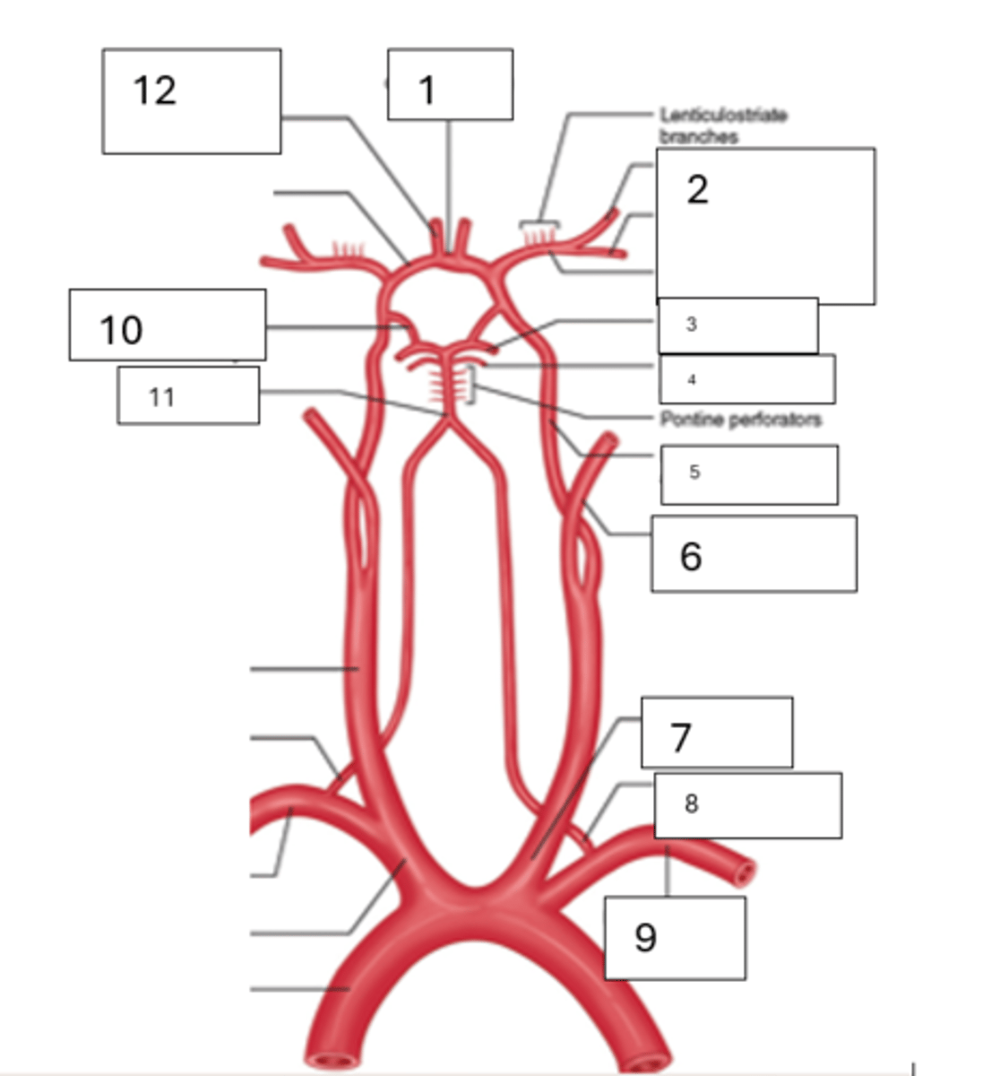 <p>12</p>