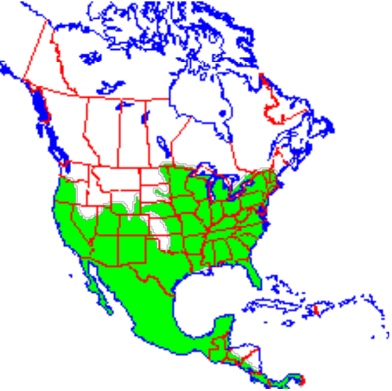 <p>Which species fits the following habitat and management concerns?</p><p><br>Habitat: Deciduous woodland communities - expansive eastern hardwood forests to western brushy riparian communities.</p><p>Management issues: Sport hunting (no fur trade); may help control rodent pests; occasionally kill poultry or game birds; may carry rabies</p>