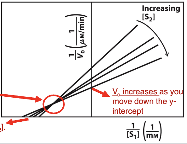 <p>What plot is this?<br>a. Ping-Pong Kinetic Mechanism&nbsp;<br>b.Competitive Inhibition&nbsp;<br>c. Sequential Kinetic Mechanism&nbsp;<br>d. Mixed Inhibition&nbsp;<br>e. Uncompetitive&nbsp;Inhibition </p>