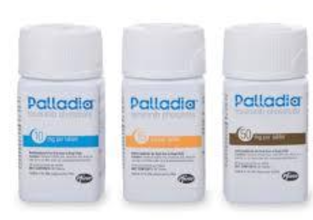 <p>Vinblastine, Palladia, lomustine (CCNU), hydroxyurea, chlorambucil, vinorelbine ± prednisone.</p>