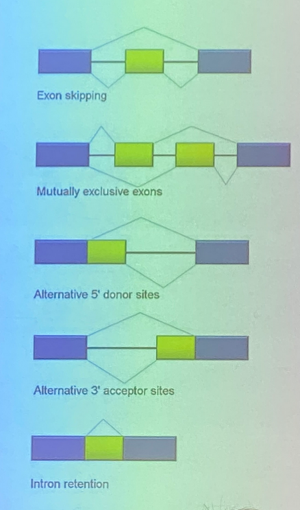 <p>describe the different splicing events shown</p>