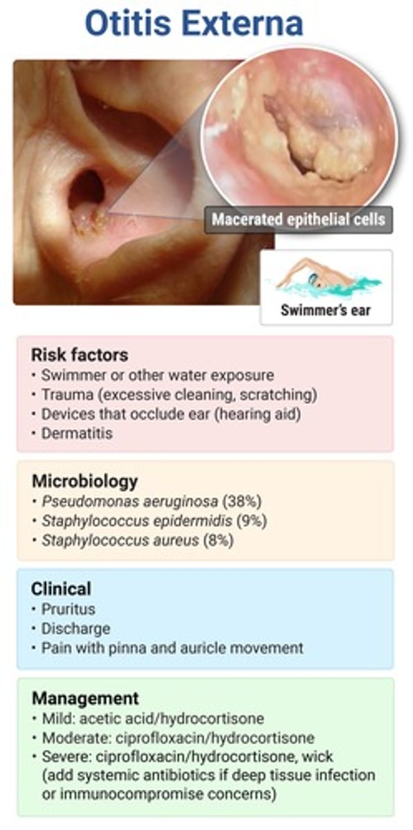 <p>otitis externa ("swimmer's ear") → pseudomonas MCC; S. aureus (digital trauma)</p><p>if fungal cause → moist, wet appearance</p><p>pt will have h/o water immersion (swimming), mechanical trauma (Q-tips), occlusive devices (hearing air, ear plugs, headphones)</p>