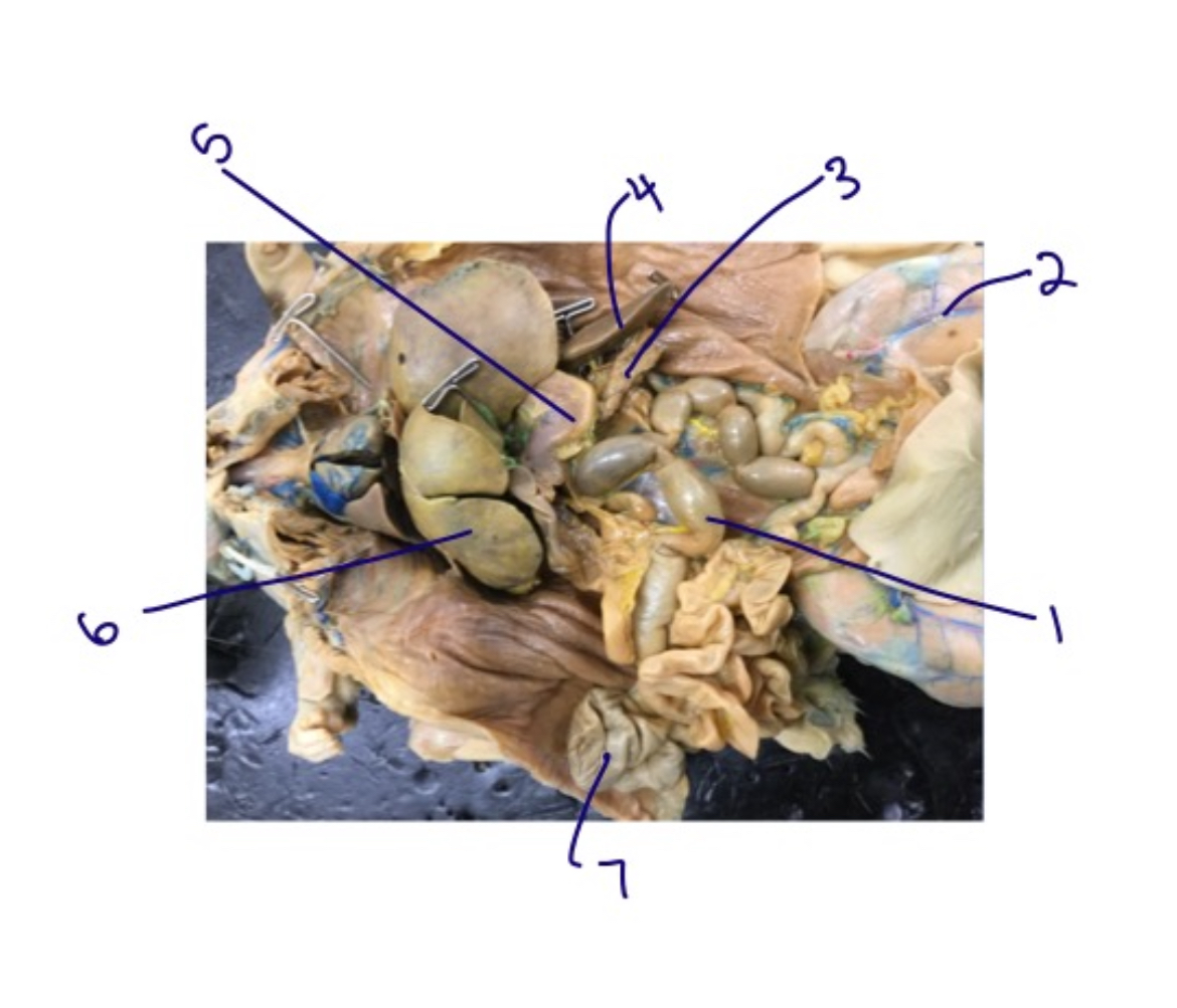 <p>1</p>
