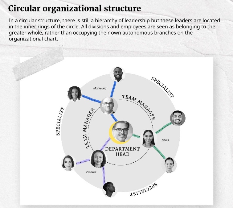 <p>leadership at centre rather than top<br>communication from central management flows outward in a circular manner </p><p>key aspects: central leadership with decentralised decision making, focus on communication and collaboration</p><p>example: companies that emphasise leadership through influence rather than command </p>