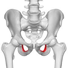 <p>what foramen is this?</p>