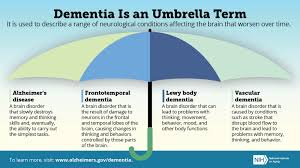 <p>Dementia </p>