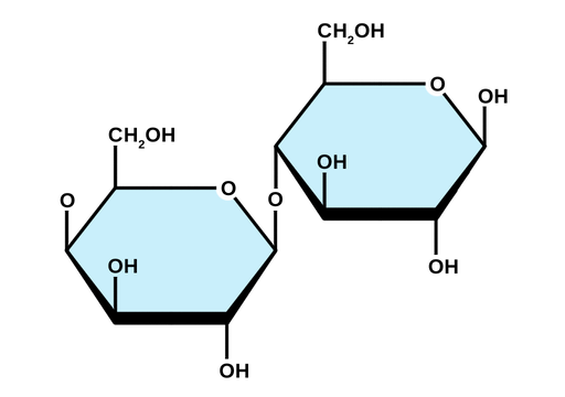 <p>Is lactose a reducing sugar?</p>