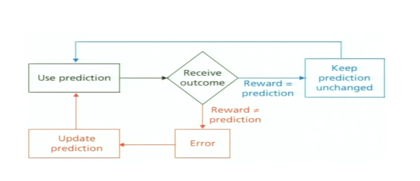 <p>use prediction → receive outcome —reward = prediction→ keep prediction unchanged</p><p>OR<br>use prediction → receive outcome —reward not = prediction→ error → update prediction </p>