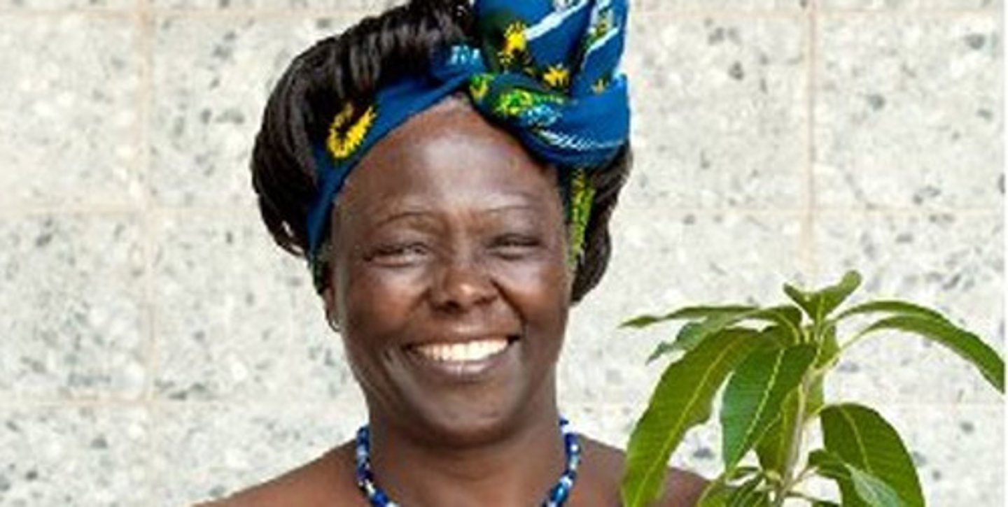 <p>is an indigenous grassroots non-governmental organisation based in Nairobi, Kenya that takes a holistic approach to development by focusing on environmental conservation, community development and capacity building. created by Professor Wangari Maathai in Kenya</p>