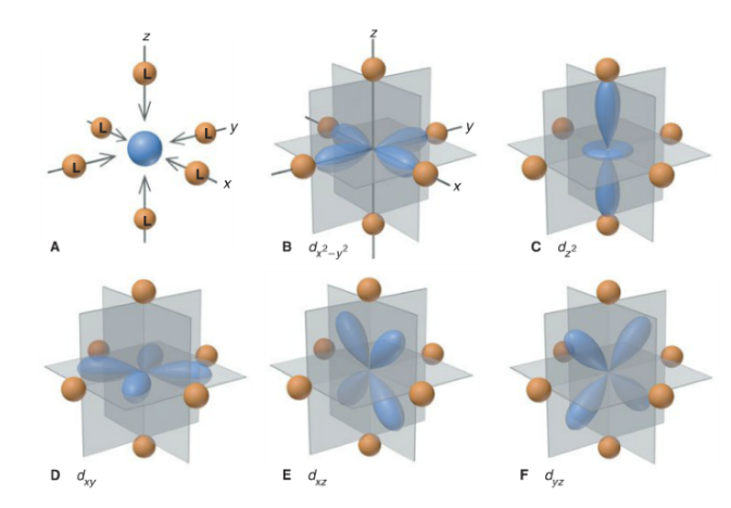 <p>Transition metal complexes</p>