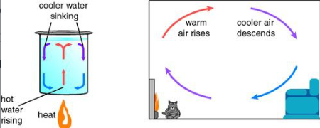 <p>Movement of a fluid, caused by differences in temperature, that transfers heat from one part of the fluid to another.</p>