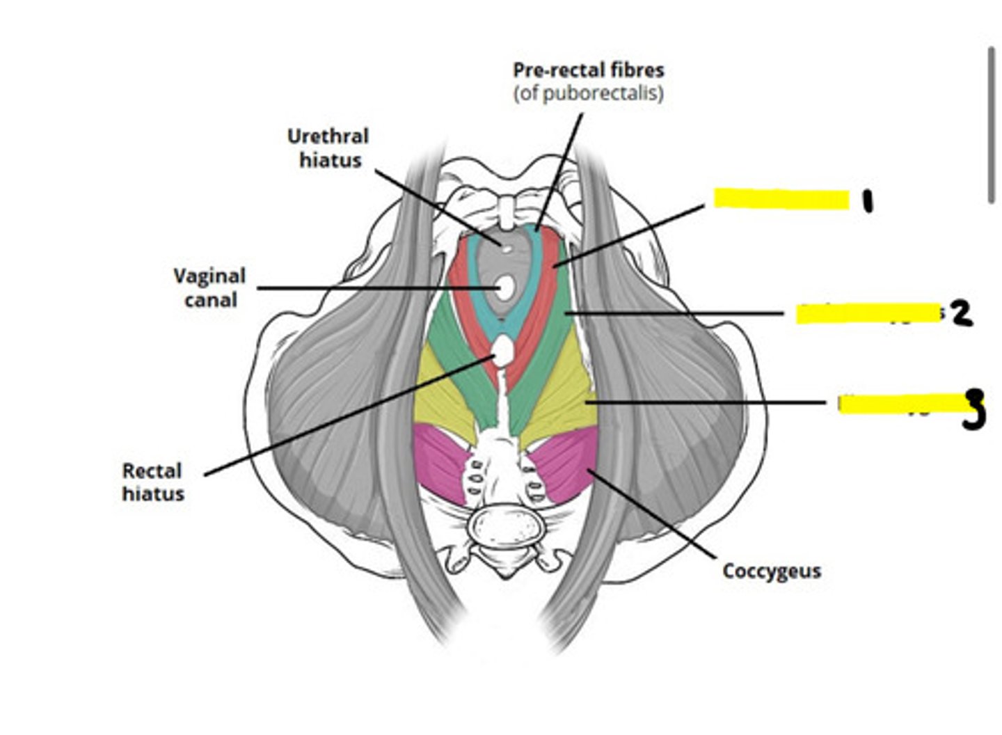 <p>1</p>
