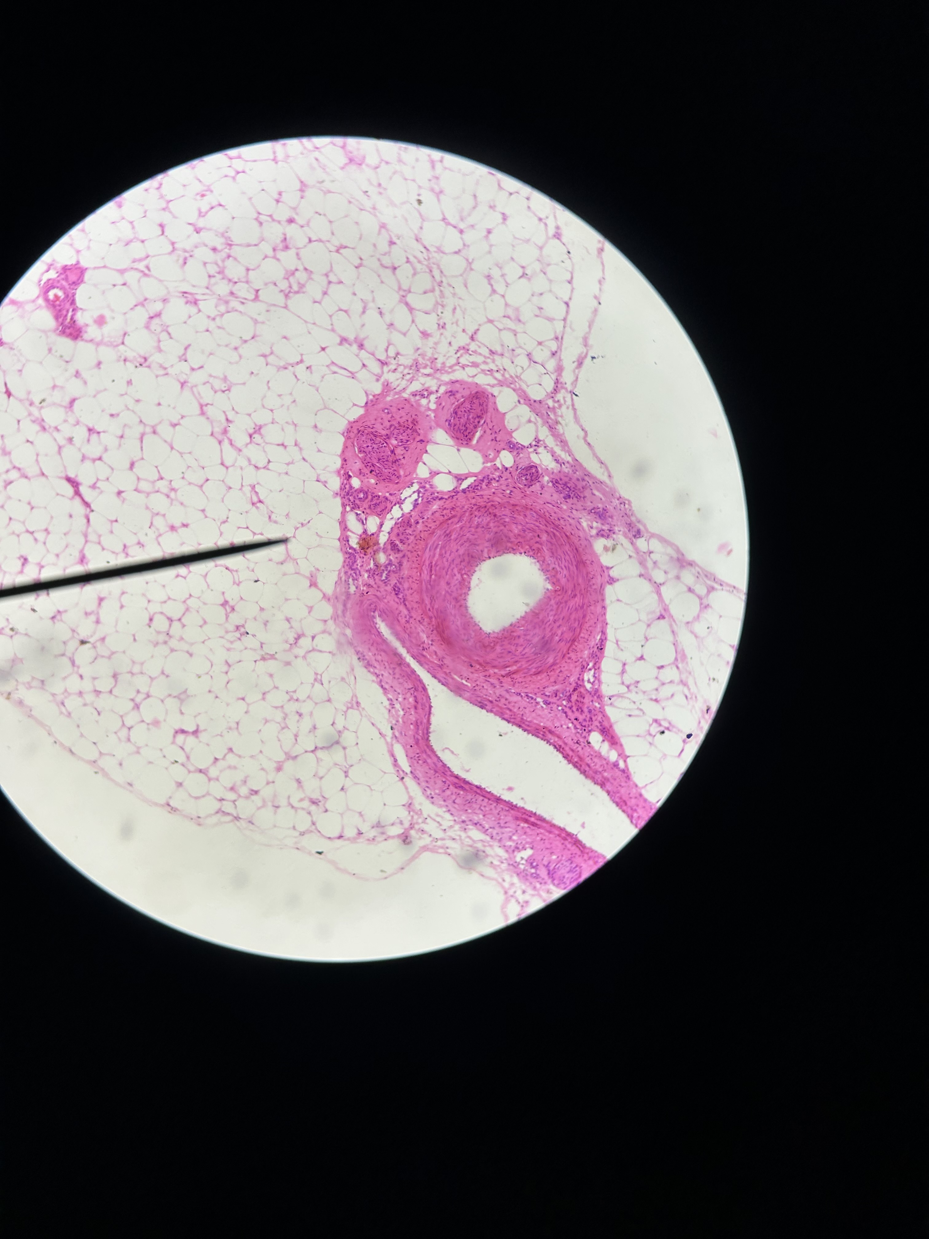 <p>What is this?</p>