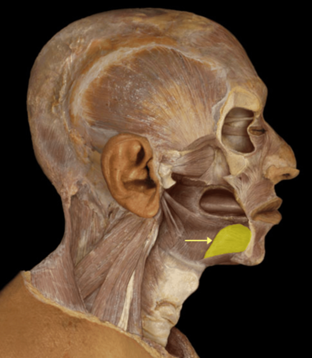 <p><em>identify the structure:</em></p>