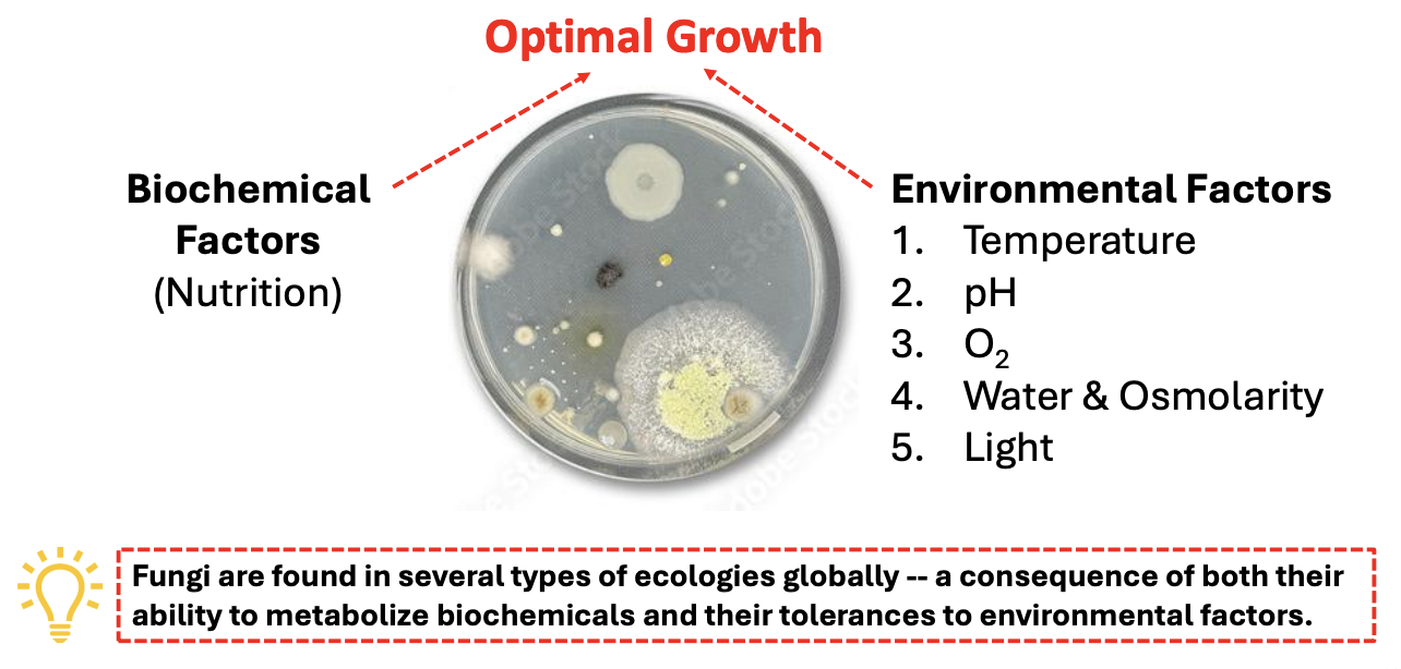 <ul><li><p><strong>Biochemical</strong> = nutrition</p></li><li><p><strong>Environmental</strong> = temperature, O2, water &amp; osmolarity, pH, light <strong><em><u>towpl</u></em></strong></p></li></ul><p></p>