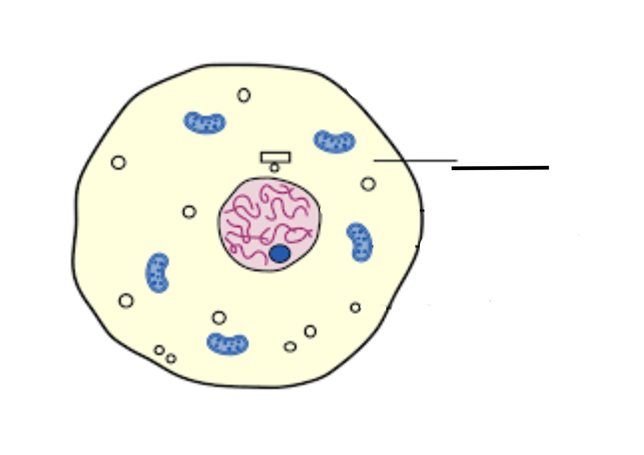<p>What is this and its role</p>