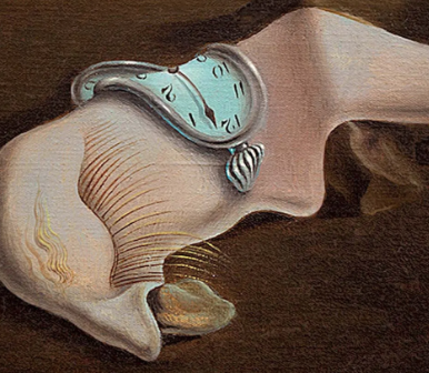 <p>details uitleggen</p>