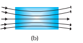 <ul><li><p>In the presence of an external field, the molecules orient themselves along the direction of the field.</p></li><li><p>They tend to move from weaker to stronger regions of the magnetic field.</p></li><li><p>They are very weakly attracted when placed in a magnetic field.</p></li><li><p>The magnetic field lines will pass through (converge/concentrate) a paramagnetic material.</p></li><li><p>The susceptibility of the paramagnet is greater than zero: χ &gt; 0<br>μr &gt; 1<br>μ &gt; μ₀</p></li><li><p>As temperature increases, the molecules have thermal agitation, so their net magnetic moment decreases. Hence, the susceptibility of a paramagnet depends on temperature.<br>χ ∝ 1/T (For paramagnets)</p></li><li><p>Examples: Al, Na, Ca, O₂, CuCl₂</p><p></p></li></ul>