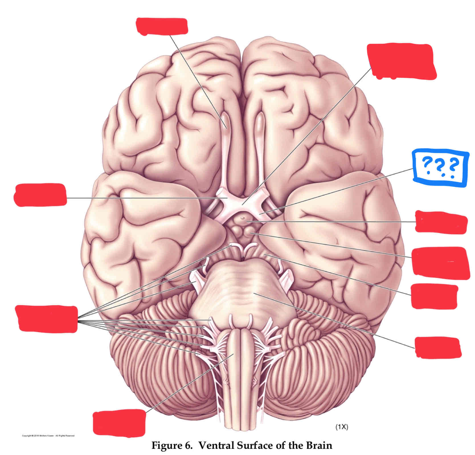 <p>vision</p>