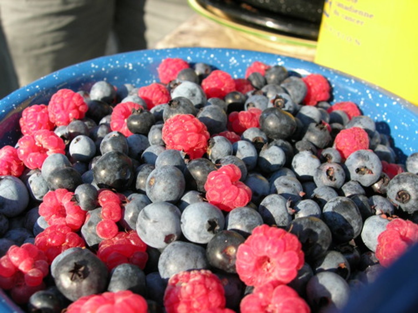 <p>BERRIES</p>
