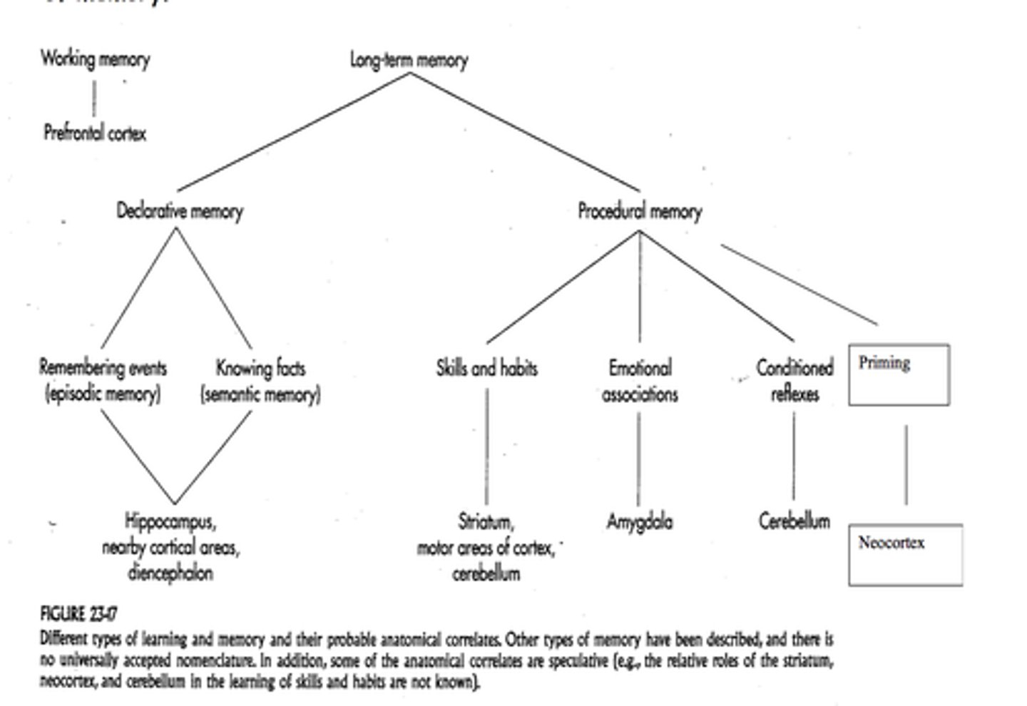 <p>explicit memory: conscious, may be visualized, may be verbally described</p><p>implicit memory: usually physical--skills, motor movement., independent of conscious recollection and is non-declarative</p>