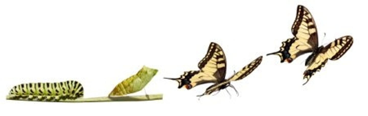 <p>- sự phát triển cá nhân - /ˈpɜːsənl ɡrəʊθ/ - Reading books contributes a lot to personal growth.</p>