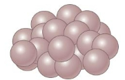 <p>Name of this cocci arrangement(grape like structure)</p>