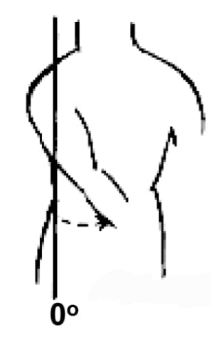 <p>Shoulder adduction</p>