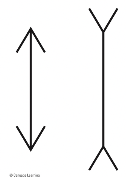 <p><span>visual illusion where </span><strong>two lines</strong><span> of the </span><strong>same length</strong><span> appear to be different due to the </span><strong>arrow-like figures</strong><span> at the ends.</span></p><p></p>