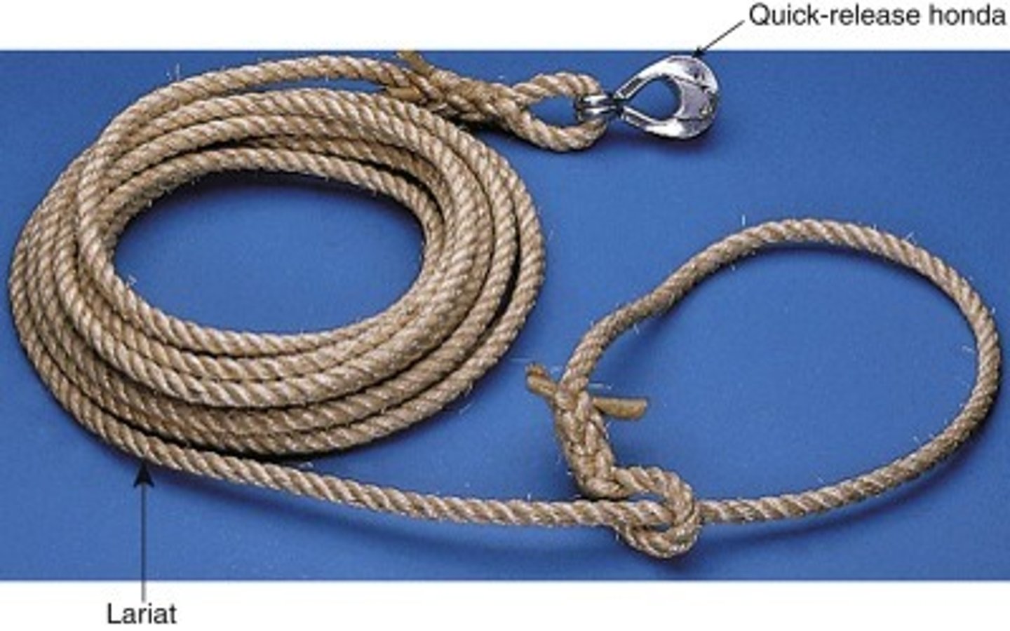 <p>To capture an animal by the neck or feet</p>