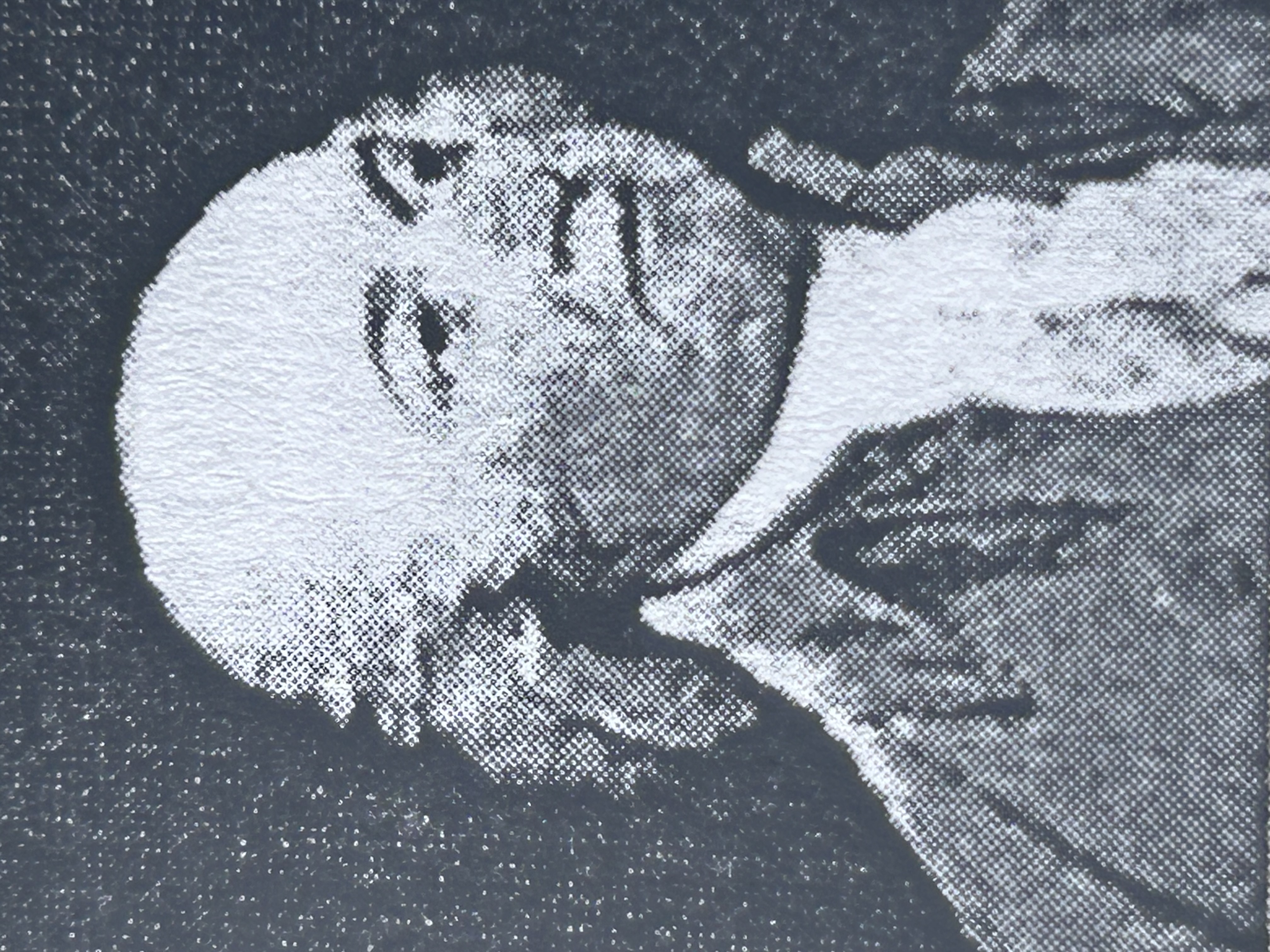 <p>Who is this?</p>