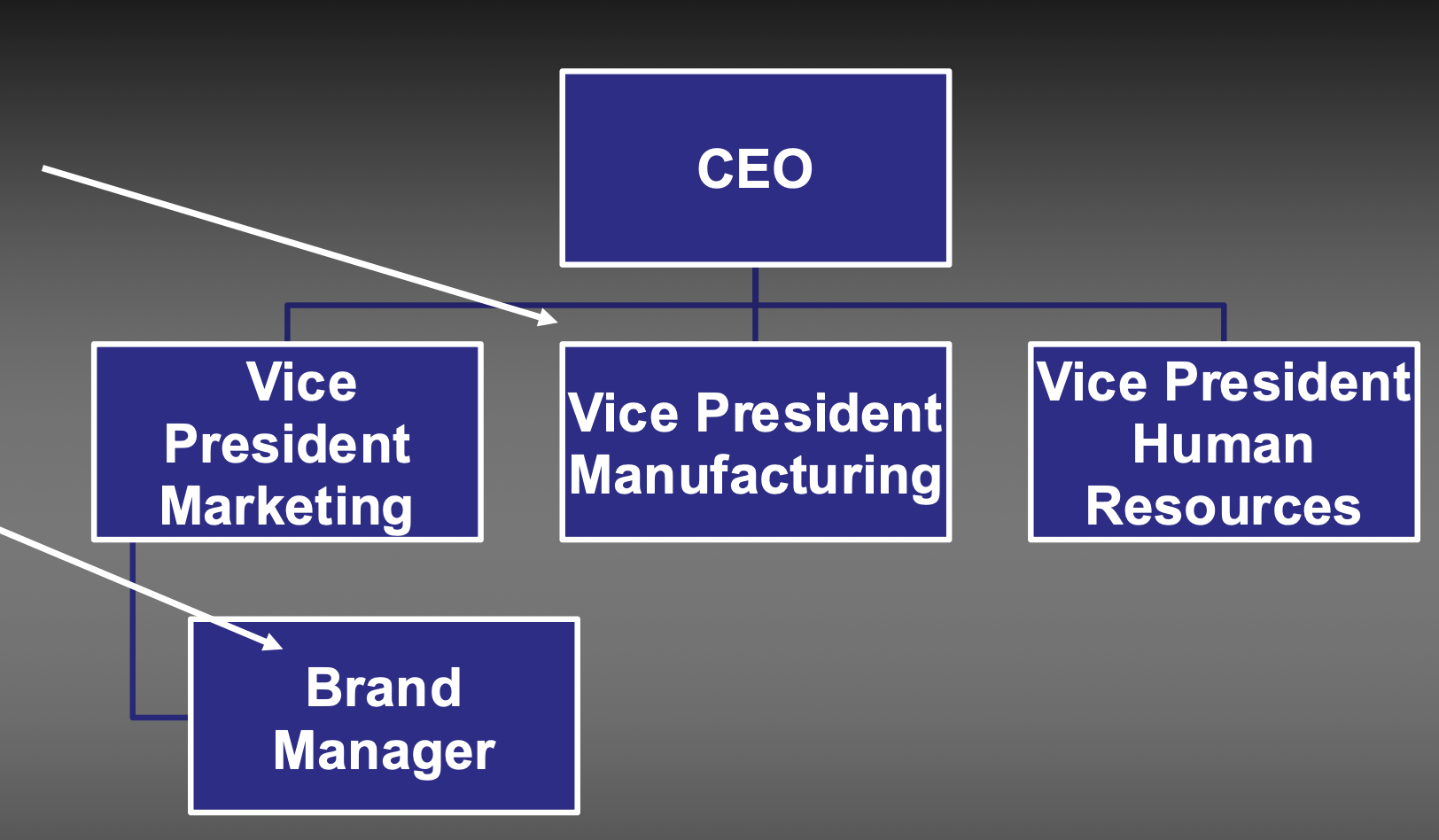 <p>specifies who reports to whom.</p>