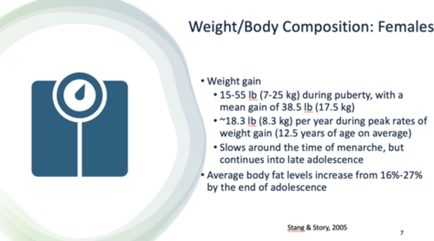 <p>15-55 lbs</p>