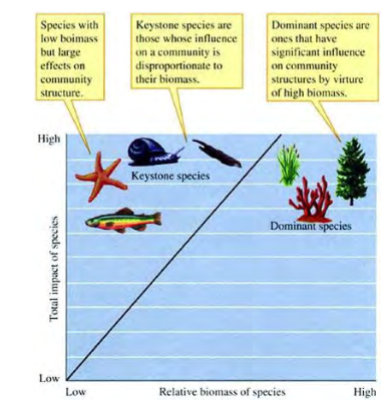 <p>dominant spp</p><p>keystone spp</p>