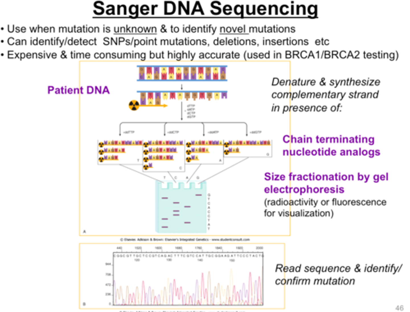 <p>1) Chain-termination PCR with fluorescent, chain-terminating ddNTPs</p><p>2) Size separation by capillary gel electrophoresis</p><p>3) Laser excitation and detection by sequencing machine to produce output chromatogram </p>