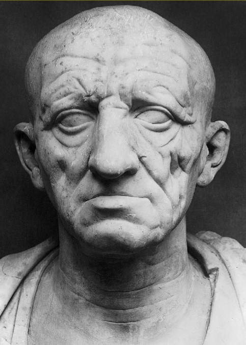 <p>Head of a Roman Patrician (use &amp; facts)</p>